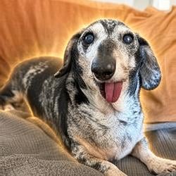 Ernie