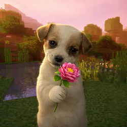 PVEDOG / SOL