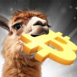 Alpaca / SOL