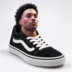 Vansem