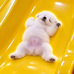 SPUP