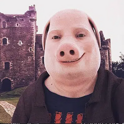 Pork