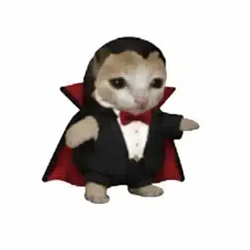 VAMPCAT47