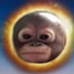 budi / SOL