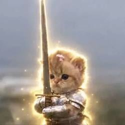 swordcat