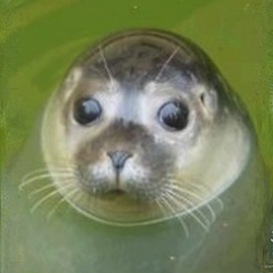 WALRUSE