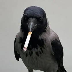 cig / SOL
