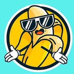 banis / SOL