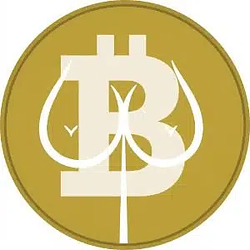 boobcoin