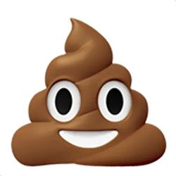 SHITTER