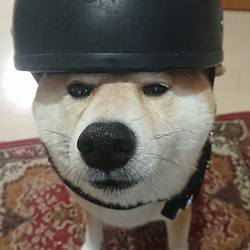KABUTO