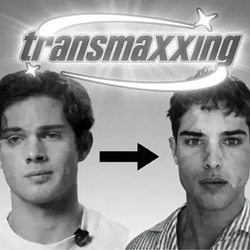 Transmaxxing