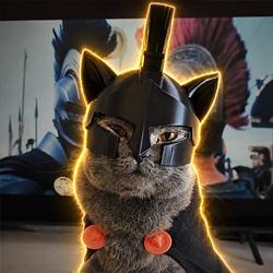 SpartanCat / SOL