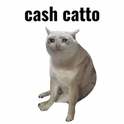 CASHCAT