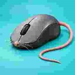 MOUSE / WETH