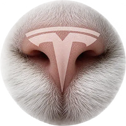 TESLACAT