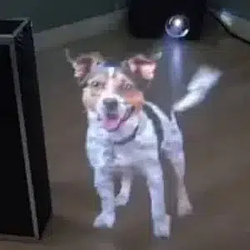 AI