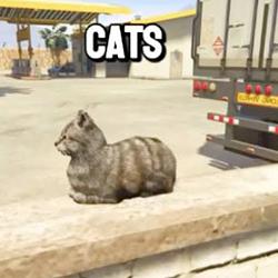 GTA6 CATS / SOL