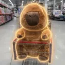 Capy