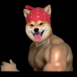 XD