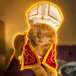 POPECAT / SOL