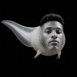 SEMAN