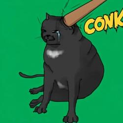 CONK