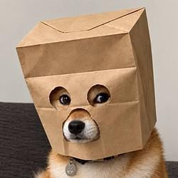 zkDOGE