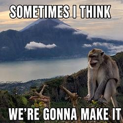 WE'RE GONNA MAKE IT