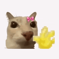 hikitty