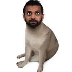 KashCatel