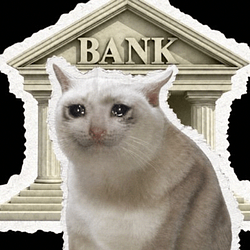 bankcat / SOL