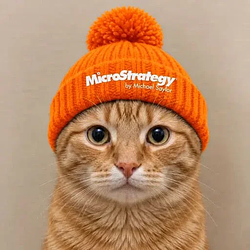 btccat