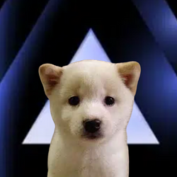 Bob