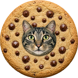 COOKIECAT