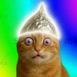 schizocat