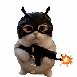 crimecat / SOL