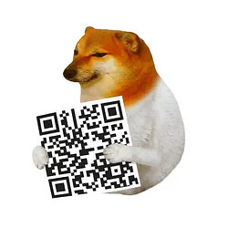 CASHLESSDOG / SOL