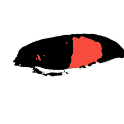 yes / USDC
