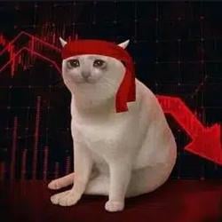 crashcat / SOL