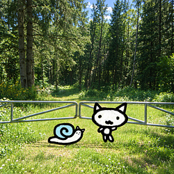 Jelvopo