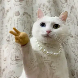 peace / SOL