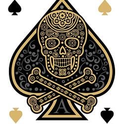 ACE