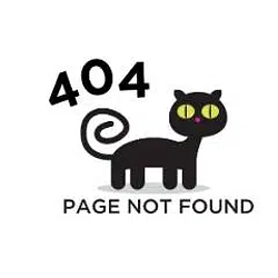 404cat