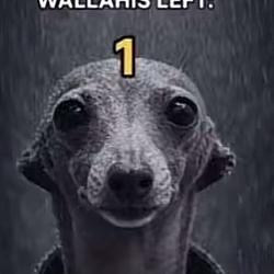 WALLAHI