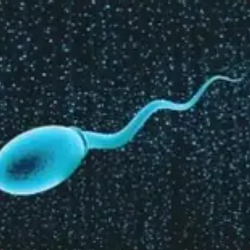 QUANTCUM