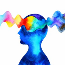 QUALIA