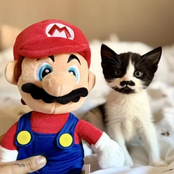 MARIO