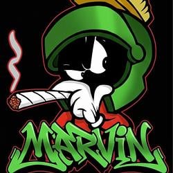 Marvin