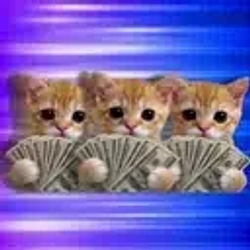 3xcat